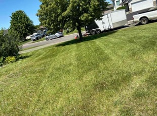 Jay W.'s Lawn Mowing service result