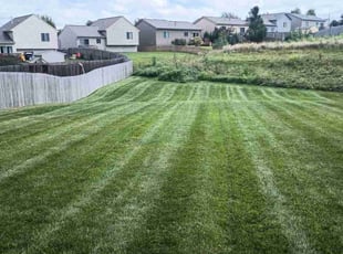 Stephanie G.'s Lawn Service service result