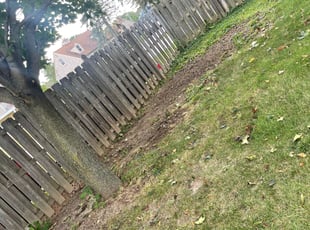 Cleanups by Michael Williams for Andrew M. in Milwaukee, WI
