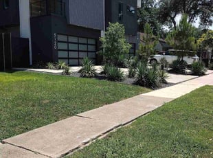 Leaf Removal by Sergio Beltran for Brad S. S. in Dallas, TX