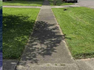 Judy S.'s Yard Cutting service result