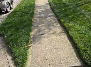 Rowena P.'s Grass Cutting service result