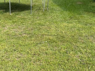 Kegan B.'s Lawn Care service result