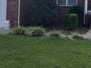 Bush Trimming by Marco Rodriguez for Melissa D. in Waxhaw, NC