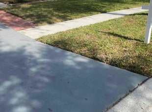 Marna H.'s Lawn Care service result