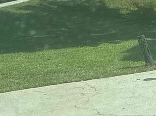 Cleanups by Derius Williams for LaToya P. in Decatur, GA