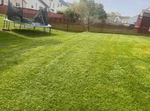 Ashley W.'s Lawn Service service result
