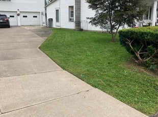 Thomas R.'s Lawn Service service result