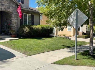 Ray G.'s Lawn Mowing service result