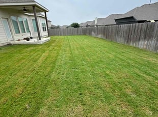 Nancy W.'s Lawn Mowing Service service result