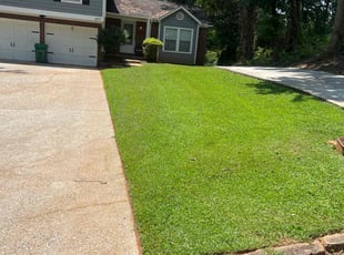 Roberta K.'s Grass Cutting service result