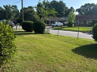 Velda C.'s Lawn Mowing Service service result