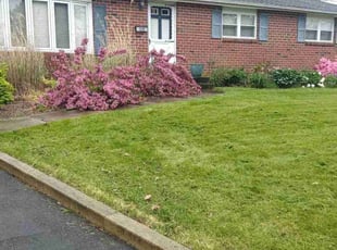 Kamil B.'s Lawn Care service result