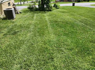 Jeff B.'s Lawn Mowing Service service result