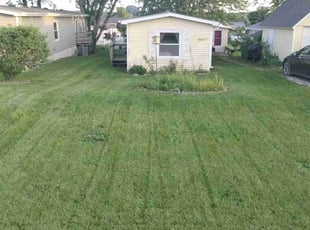 Vincent M.'s Grass Cutting service result