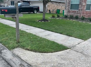 Luay A.'s Lawn Mowing service result