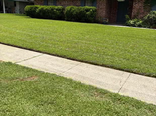 Jamesd F.'s Yard Cutting service result