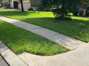 Cindy L.'s Lawn Mowing Service service result