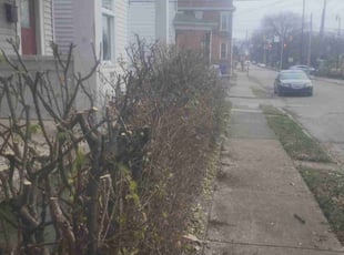 Bush Trimming by Demario Brookins for John s. in Columbus, OH