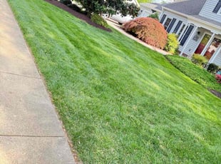 Laura G.'s Lawn Care service result
