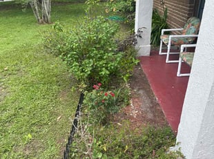 Weeding by David Santiago for Tytiana F. in Orlando, FL