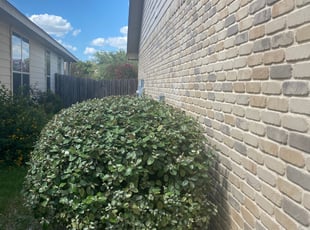 Bush Trimming by Nick Anthony Santos for Daryl L. in San Antonio, TX