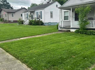 Beth P.'s Yard Cutting service result