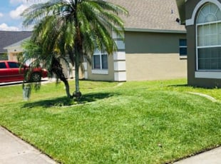 Patrick M.'s Grass Cutting service result