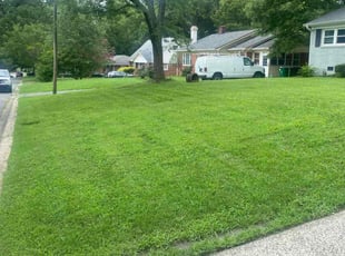 Jeraldtesha R.'s Lawn Maintenance service result