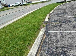 Teresita F.'s Lawn Care service result
