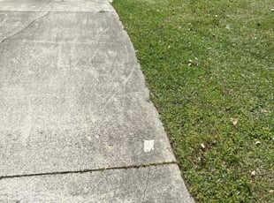 Amanda W.'s Grass Cutting service result