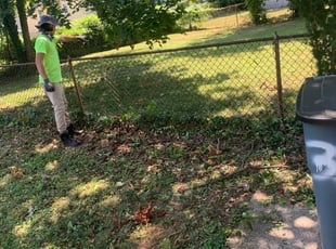 Weeding by for Hasani J. in Baltimore, MD