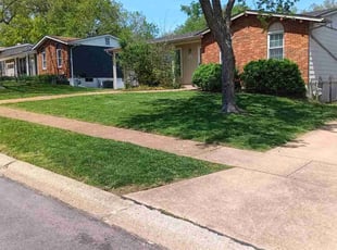 Kay B.'s Lawn Care service result