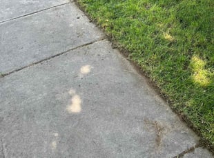 Melissa M.'s Lawn Mowing Service service result