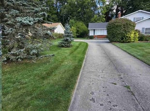 Don S.'s Lawn Service service result