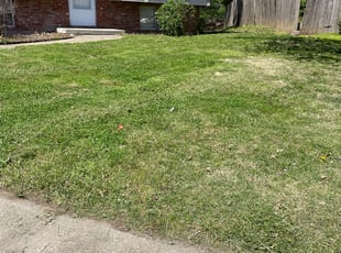 Bush Trimming by Bo Hickmon for Courtney I. in Lee's Summit, MO