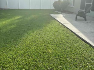 Madison C.'s Lawn Care service result