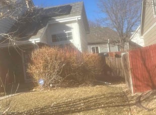 Bush Trimming by Eugenio PΓ©rez for Chad v. in Aurora, CO