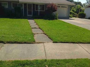 janchai p.'s Lawn Service service result