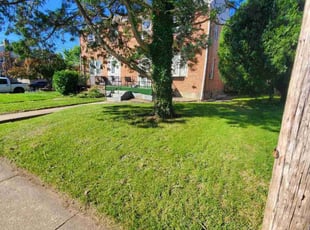Kelli K.'s Yard Cutting service result