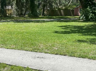 Mac B.'s Yard Cutting service result