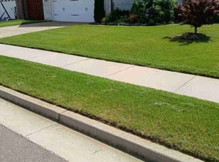 Jessica M.'s Lawn Service service result