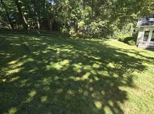 Caroline F.'s Lawn Care service result