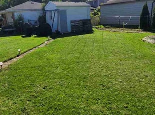 Elizabeth F.'s Lawn Mowing service result