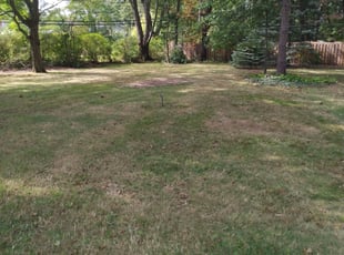 Leaf Removal by Anthony Coleman for Karl S. in Beachwood, OH