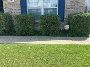 Bush Trimming by Jose Escobedo for Dorian S. in San Antonio, TX