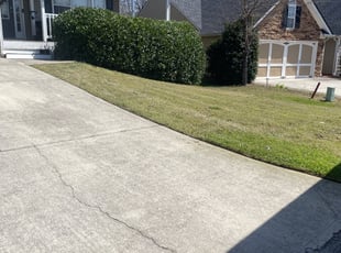 Bush Trimming by Terrince up Gatewood for Josh R. in Dallas, GA