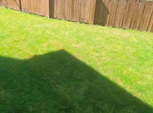 Don W.'s Yard Cutting service result