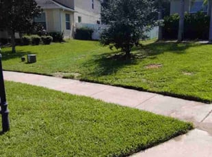 Elizabeth A.'s Lawn Service service result