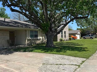 Daryna V.'s Lawn Care service result
